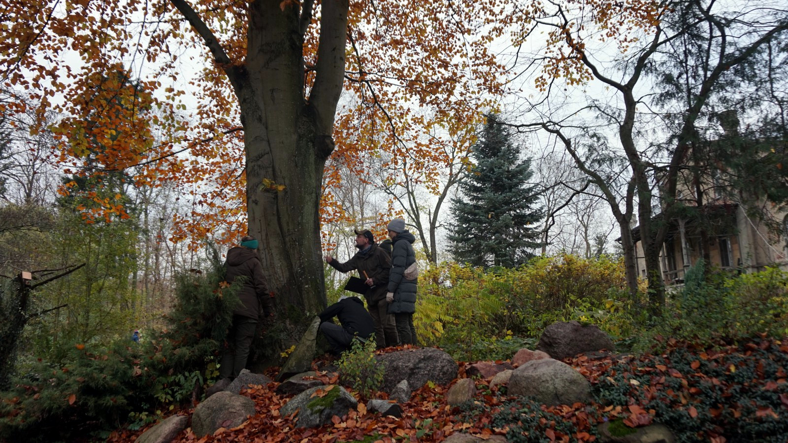 Szkolenie z podstaw inspekcji drzew