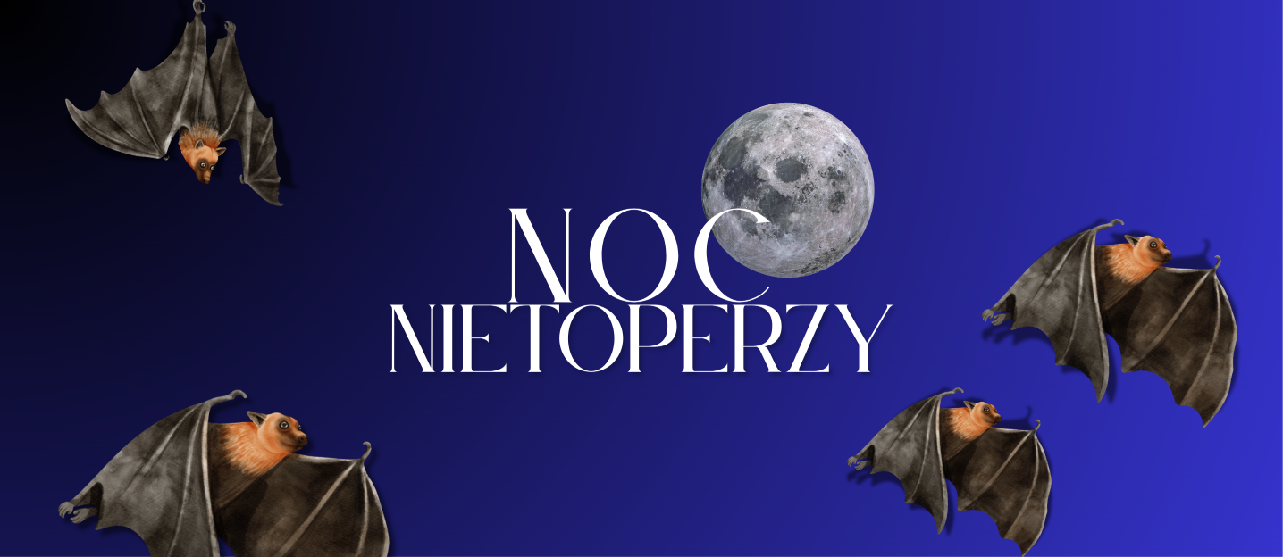 Noc Nietoperzy