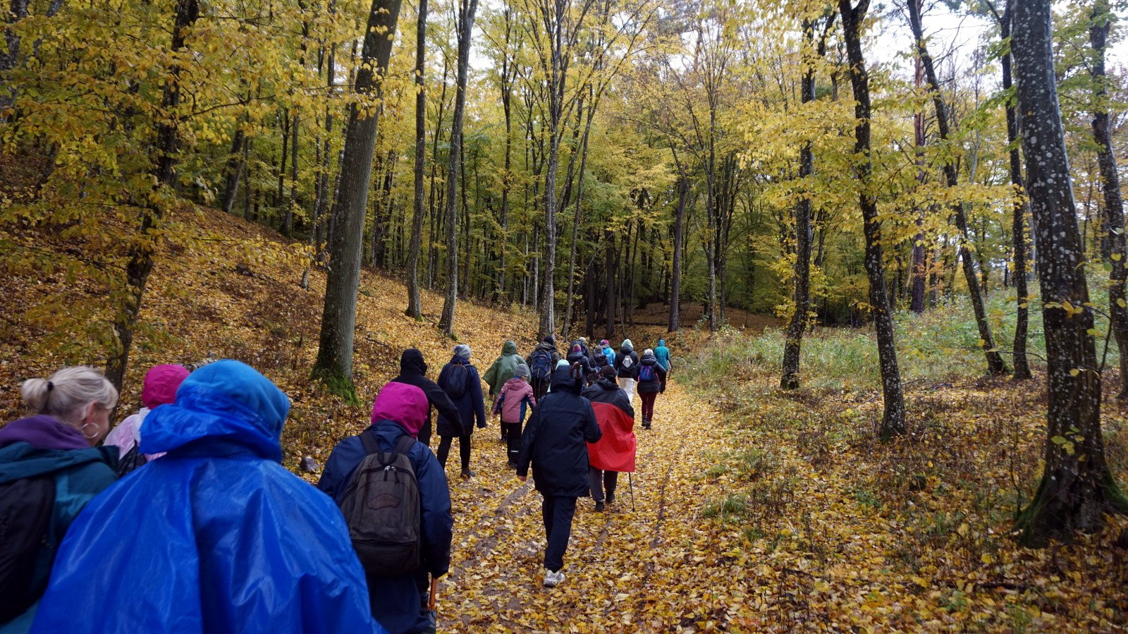 Wędrowna Grupa Krajoznawcza w Dzień Krajobrazu |18.10.2025| |RELACJA|