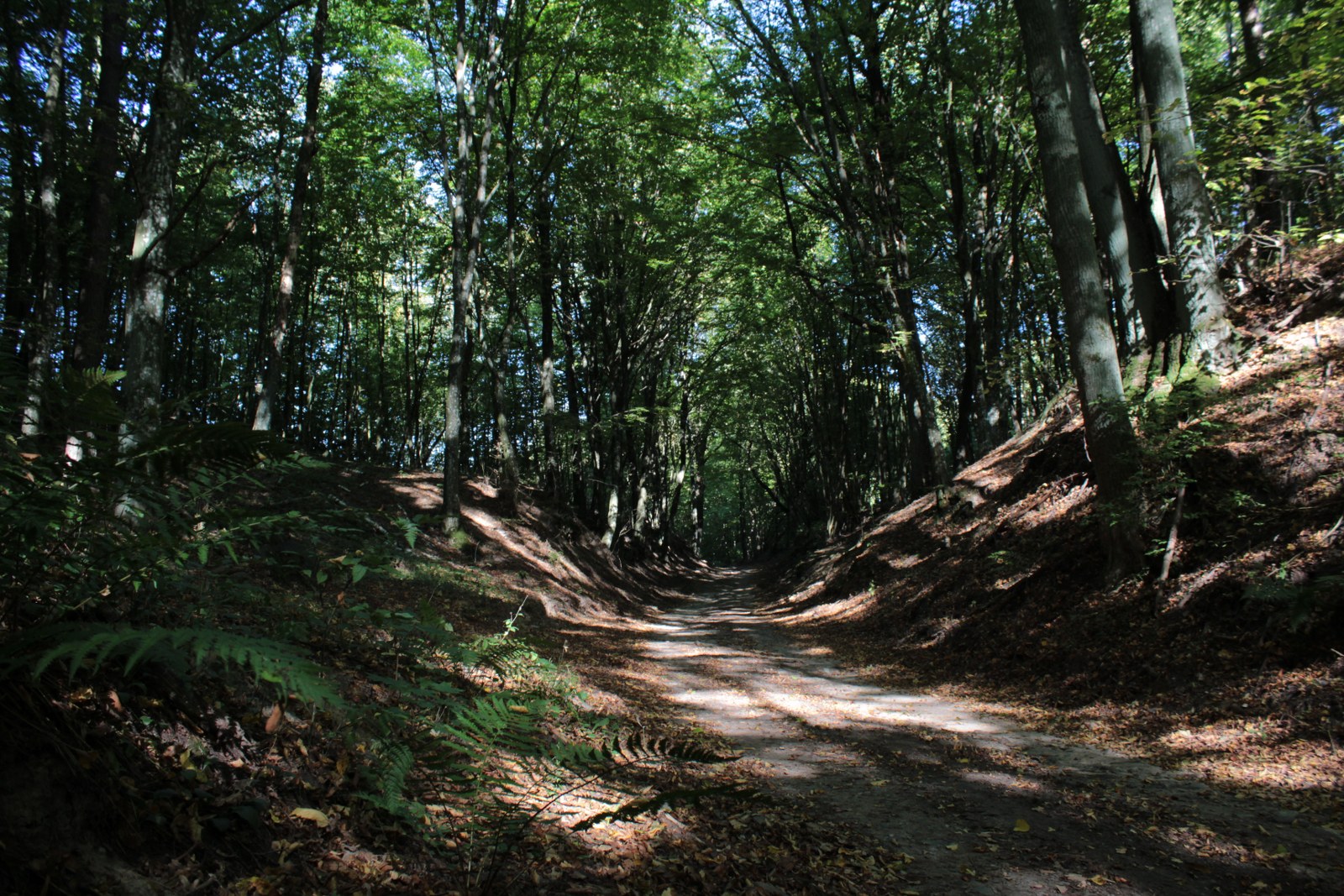 Wędrowna Grupa Krajoznawcza z okazji Dnia Krajobrazu