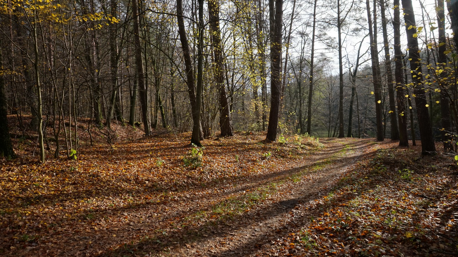 Listopadowe spotkanie Wędrownej Grupy Krajoznawczej