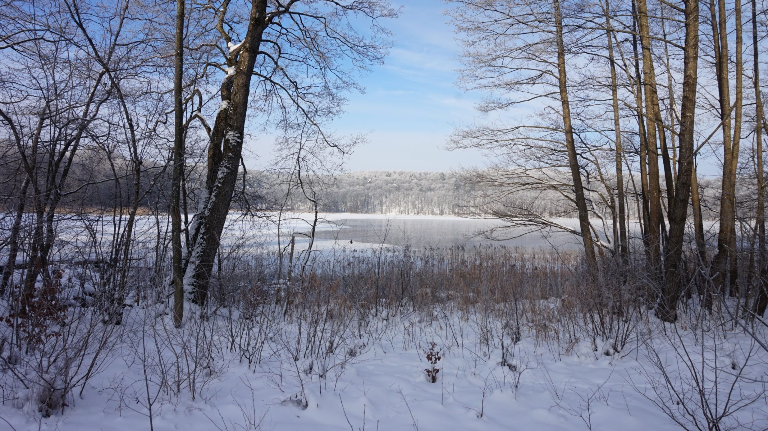Styczniowe wyjście Wędrownej Grupy Krajoznawczej