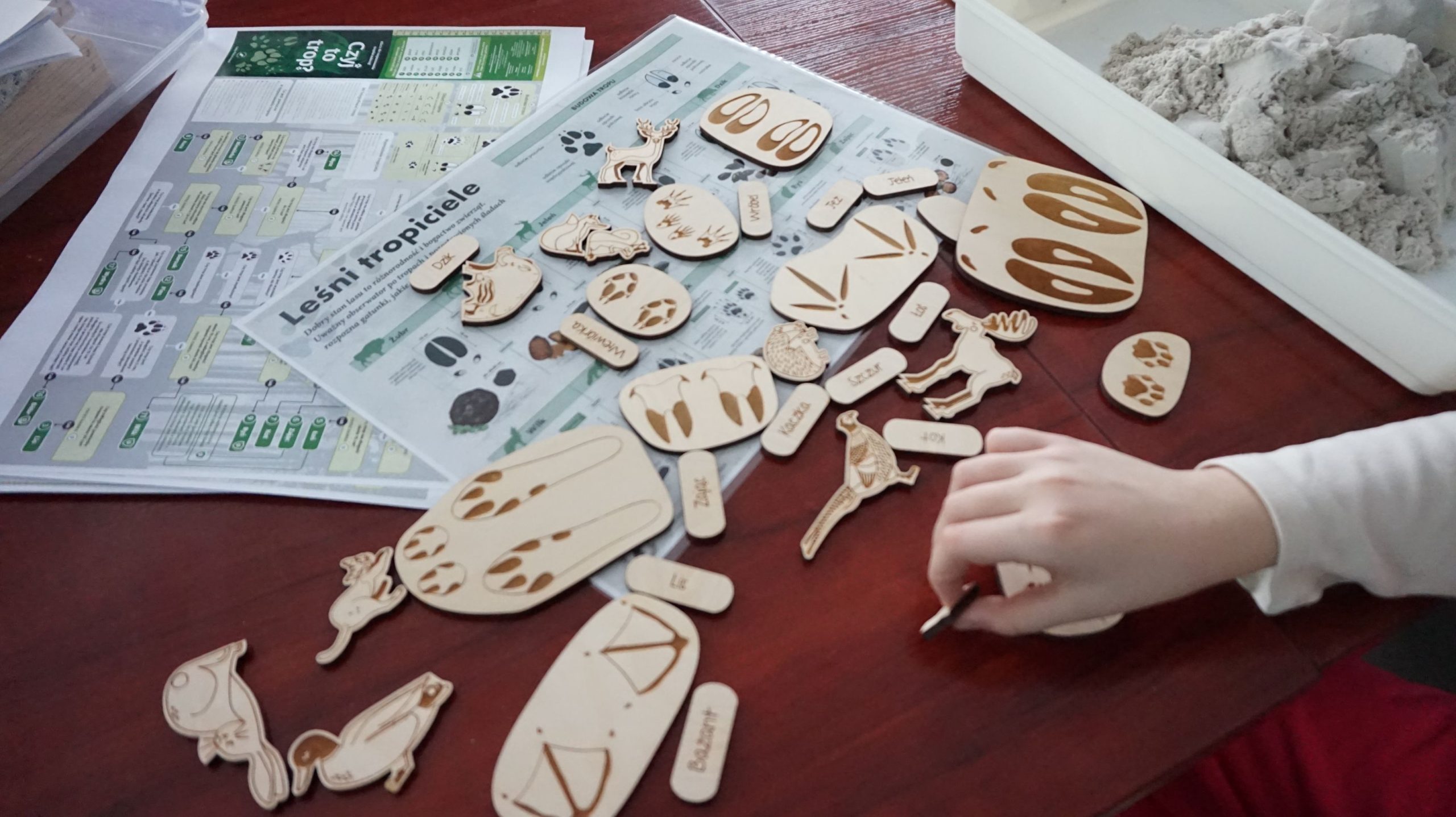 „Zimowi tropiciele”