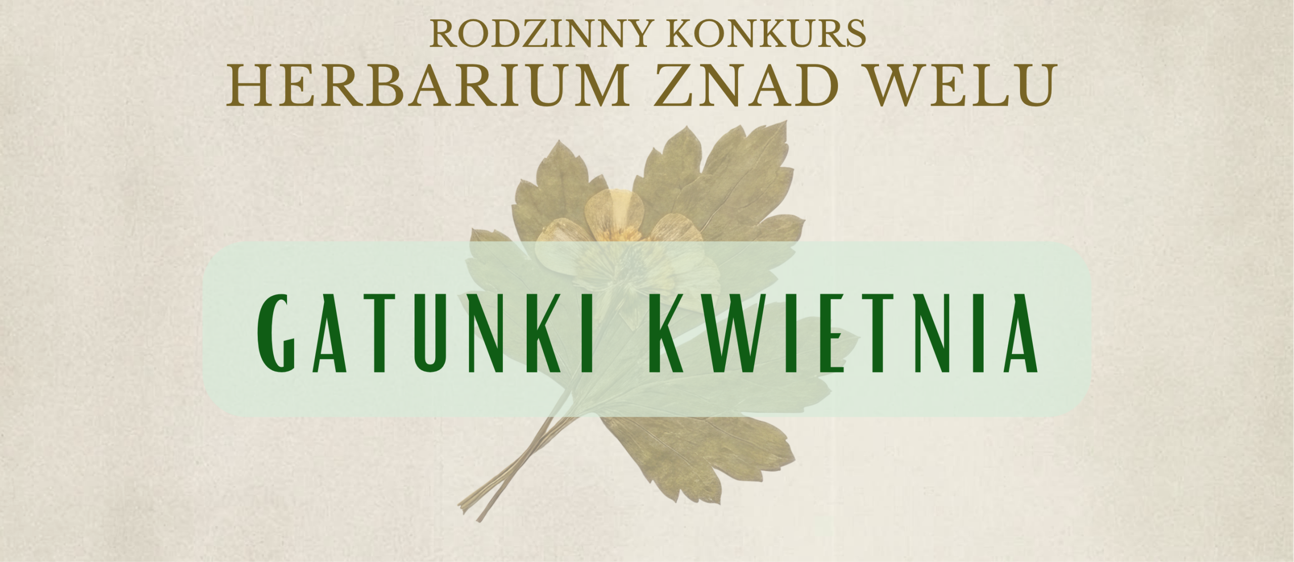 Herbarium znad Welu – gatunki kwietnia