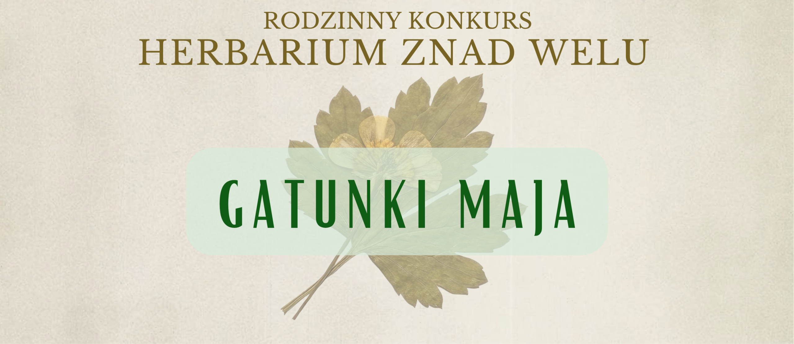 Herbarium znad Welu – gatunki maja