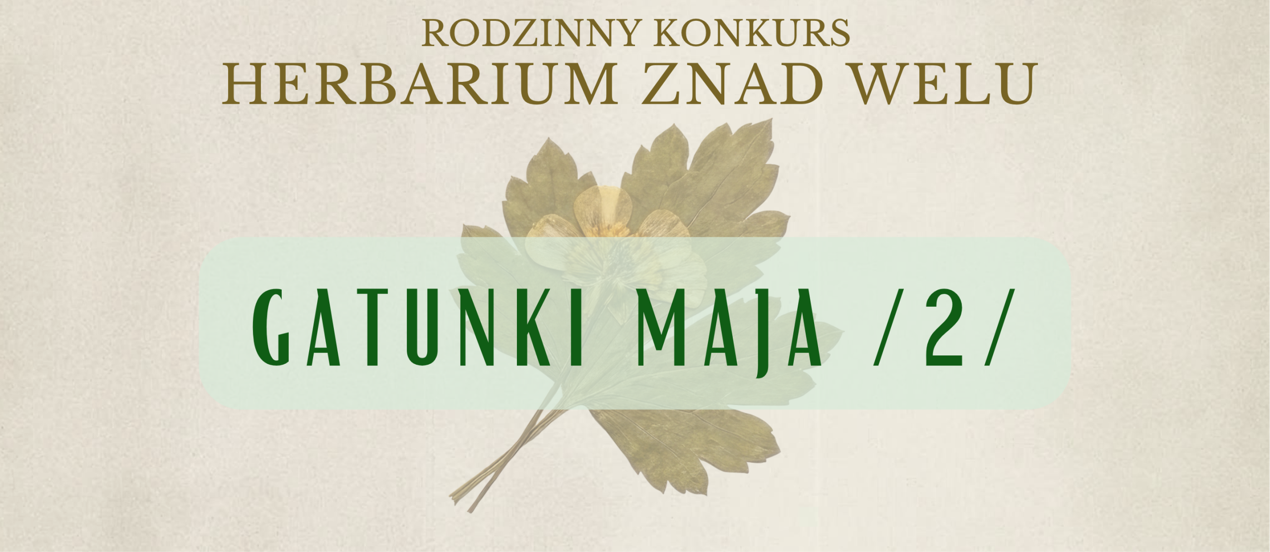 Herbarium znad Welu – gatunki maja cz. 2