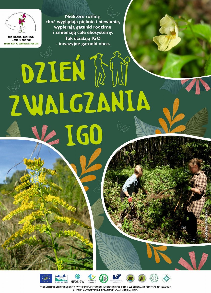 Dzień Zwalczania IGO
