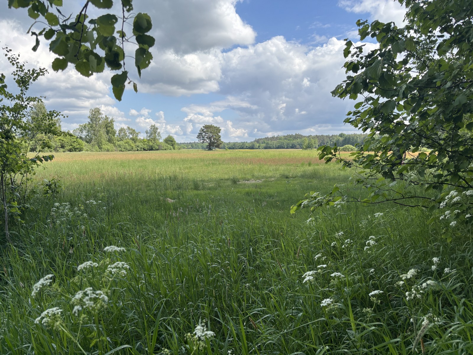 Wędrowna Grupa Krajoznawcza na Festiwalu Rzeczno-Bagiennym w Kotach